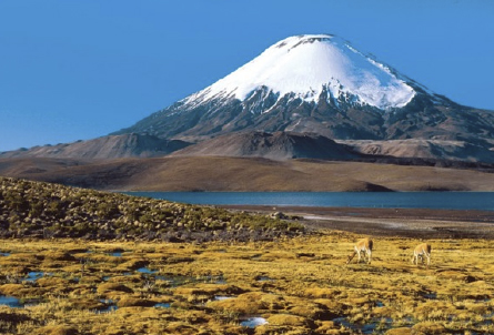 Capacitación en Medio Ambiente