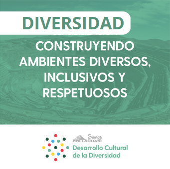 Taller De Diversidad – Módulo 1