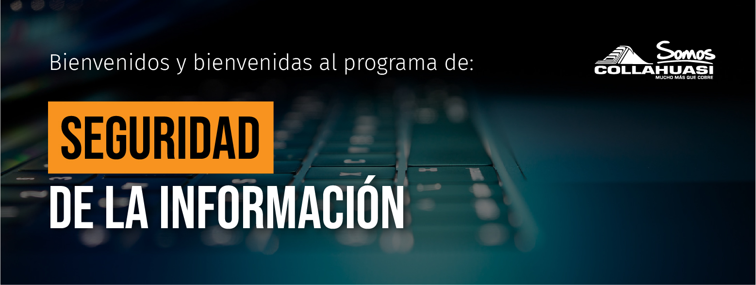 Programa: Seguridad de la información-Ciberseguridad